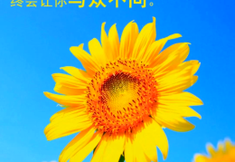 中考励志图片正能量大全(中考励志图片艺术字霸气)