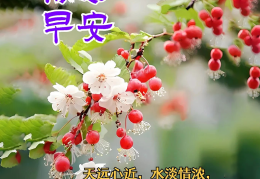 让人开心的早安语高情商(让人开心的问候早上好的图片)