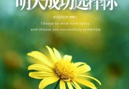 励志图文图片大全正能量文字(励志的图文图片)