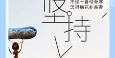 不放弃坚持不懈的说说(坚持不放弃怎么形容)
