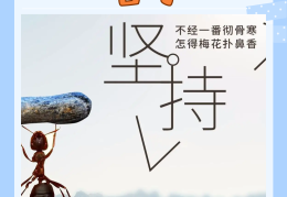 不放弃坚持不懈的说说(坚持不放弃怎么形容)