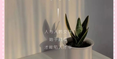励志朋友圈短句说说(励志的朋友圈短语)
