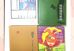 哲学入门书籍推荐书目(10本哲学入门必读书)