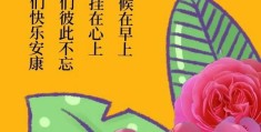 今日的早安句子(今日早安心语简单一句话)