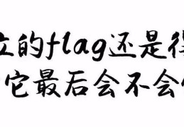 立的flag是什么意思英语(立flag英文什么意思)