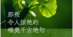 女人励志的句子精致八个绝句(女人励志金句)