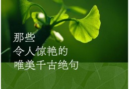 女人励志的句子精致八个绝句(女人励志金句)
