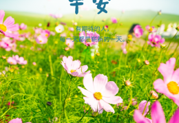 励志早安问候短句图片带字(励志早安问候短句图片带字最新)