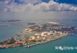 新加坡的发展之路(新加坡发展之路书籍)