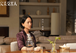 初心剧情介绍大结局是什么意思(初心电视剧角色介绍)