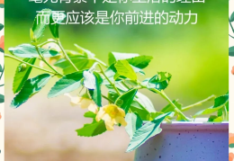 励志的字句剪短(励志的字句剪短文案)