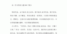 坚持自己的信念作文800字(坚持自己的信念作文600字)