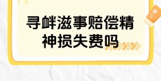 附带民事诉讼精神损害赔偿(附带民事诉讼中的精神损害赔偿制度)