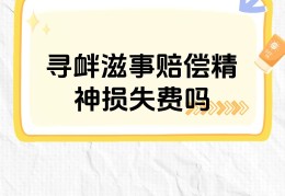附带民事诉讼精神损害赔偿(附带民事诉讼中的精神损害赔偿制度)