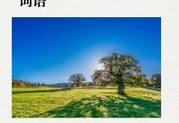 失去信心叫什么词语(失去信心的词语有哪些)