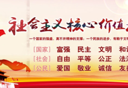 价值观怎么写范文(价值观简短)