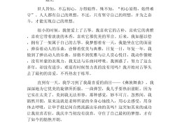初心梦想作文800字高中(初心与梦想作文初中的演讲稿)