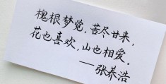 初心的爱情句子摘抄大全图片(爱的初心的句子)