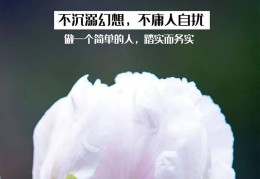 一日一句早安图片(一日一句早安语)