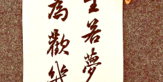 关于生命哲学的诗句(有关生命的哲学句子)