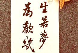 关于生命哲学的诗句(有关生命的哲学句子)
