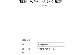 电子商务职业生涯规划2000字(电子商务职业生涯规划2000字以上)