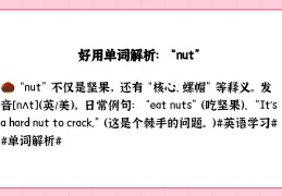 raise怎么念(raised怎么读的)