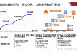 华为公司的愿景和使命对其战略的影响(华为公司的愿景和使命对其战略的影响有哪些)