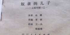 小说主人公初暖的小说(小说主人公初暖的小说叫什么)
