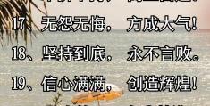 八个字激励句子(八个字的激励性标语)