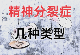 青少年精神裂分症状有哪些症状图片视频(青少年精神裂分症状有哪些症状图片视频讲解)