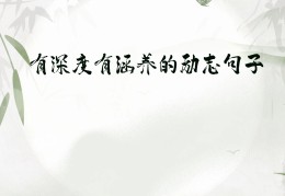 有深度有涵养的句子简短(有深度有涵养的句子简短80句)