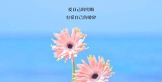每天正能量的说说心情短语简短句子(每天正能量的句子经典语句)
