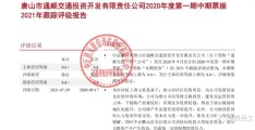 城投评级aa+的标准(城投评级报告)