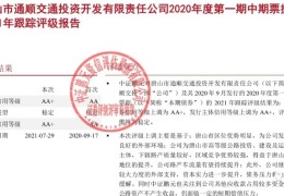 城投评级aa+的标准(城投评级报告)