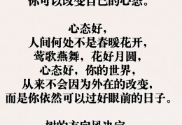 心如暖阳何惧忧伤是什么意思(心若暖阳后面是什么)