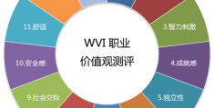 我的职业价值观类型(我的职业价值观倾向)