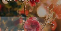 描写教师不忘初心的励志句子有哪些(教师的不忘初心牢记使命的文章)