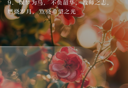 描写教师不忘初心的励志句子有哪些(教师的不忘初心牢记使命的文章)