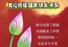 适合早安吸引人发朋友圈的句子(早安吸引人的语录)