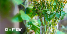 美好的一天正能量句子发朋友圈句子(新的一天高情商的句子)