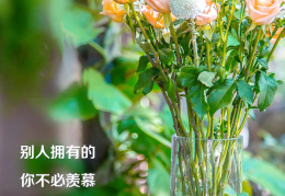 美好的一天正能量句子发朋友圈句子(新的一天高情商的句子)