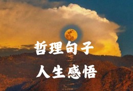 不忘初心不畏将来什么意思(不忘初心不畏将来图片)