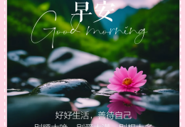 励志的句子朋友圈早安(朋友圈经典励志句子早安励志短句?)