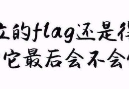 英文flag怎么读音(flag英文怎么拼写)