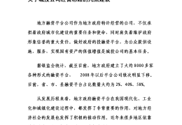 城投公司愿景(城投公司的未来)