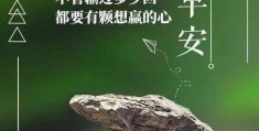 激励人生的正能量短文越努力越幸运(激励人生的正能量短文越努力越幸运的句子)