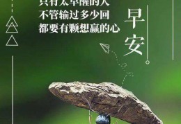 激励人生的正能量短文越努力越幸运(激励人生的正能量短文越努力越幸运的句子)