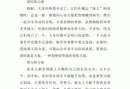 坚守信念的力量作文素材(关于坚守信念的作文800字四篇)