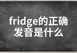 fridge的英文单词怎么读音(fridge英语单词怎么读?)